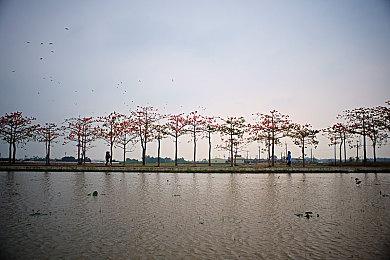 回合策略《人偶探险家》4月登陆Switch 追加新要素